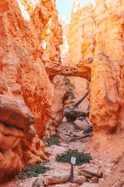 Amerika Birleşik Devletleri Utah 'ta güzel kabadayılar, tepeler ve kuleler ile inanılmaz doğa. Navaho Döngü Yolu 'ndaki Brice Kanyonu 