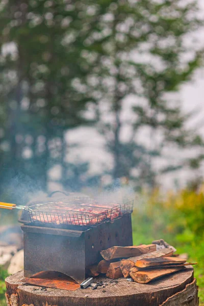 Grill Piknikowy Mięsem Umieszczonym Pniu Wzgórzu Górach Mgłą — Zdjęcie stockowe