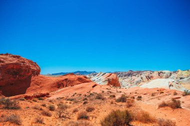 Nevada 'daki Red Valley of Fire State Park, ABD