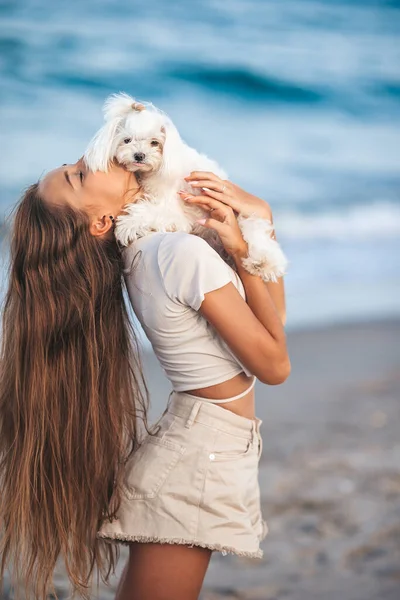 Tropikal Plajda Sevimli Beyaz Köpek Yavrusuyla Gezen Sevimli Bir Kız Stok Resim