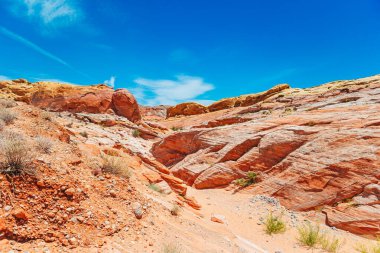 Nevada 'daki Red Valley of Fire State Park, ABD