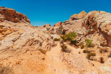 Nevada 'daki Red Valley of Fire State Park, ABD