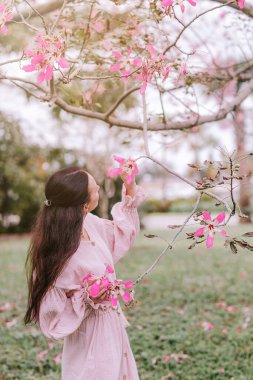 Bahar günü Sakura kiraz çiçeği parkında güzel bir genç kadın. Yüksek kalite fotoğraf