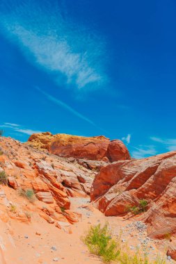 Nevada 'daki Red Valley of Fire State Park, ABD