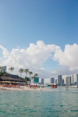 Açık kafeli Miami plajı ve hindistan cevizi palmiyeli beyaz kum. Yüksek kalite fotoğraf