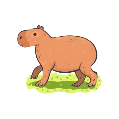 Cute capybara isolated on white background. Vector image