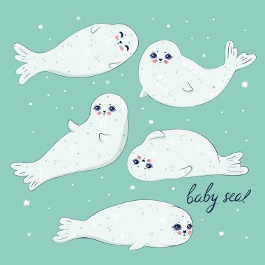 Set of cute white baby seals. Vector image.