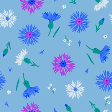 Seamless pattern with blue purple and white cornflowers. Vector image.