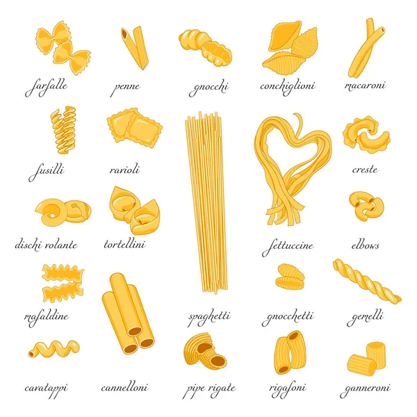 Collection Pasta Set Different Types Pasta Isolated White Background Vector — Stock Vector