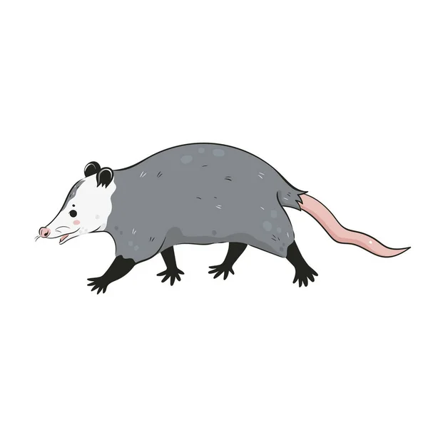 Mignon Opossum Isolé Sur Fond Blanc Image Vectorielle — Image vectorielle