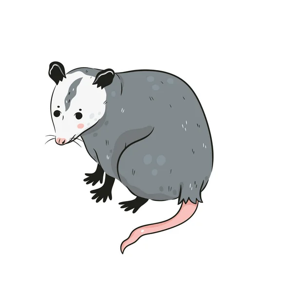 Niedliches Opossum Isoliert Auf Weißem Hintergrund Vektorbild — Stockvektor