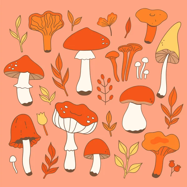Autumn Set Mushrooms Leaves Vector Image Stock Vector