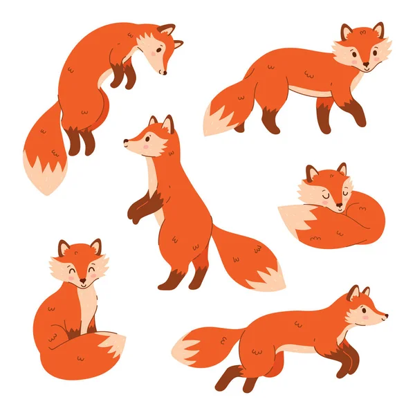 Set Cute Red Foxes Isolated White Background Vector Image Stock Illustration