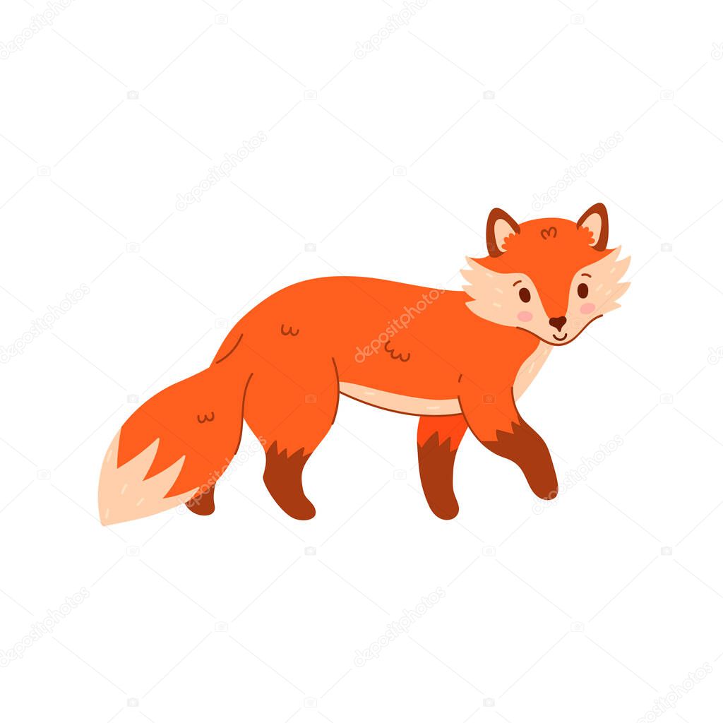 Cute cartoon fox is standing isolate on white background. Vector image.