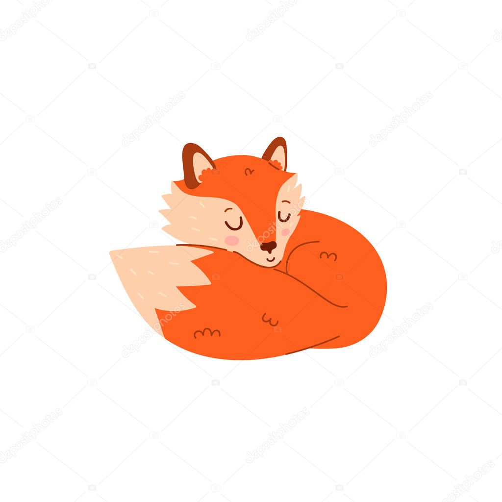 Cute cartoon fox sleeping isolate on white background. Vector image.