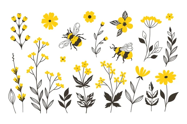 Set Bees Yellow Flowers Isolate White Background Vector Image — Stock Vector