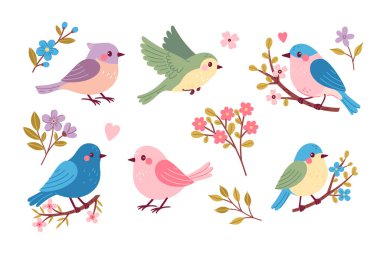 Bahar kuşları ve çiçekler seti. Vektör resmi.