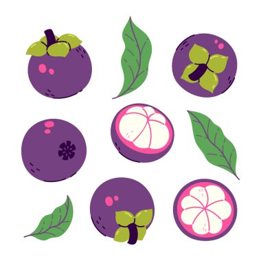 Beyaz bir arka planda bir grup mangosen ve yalıtılmış bırakır. Vektör resmi.