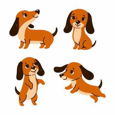 Dört şirin dachshund köpeği seti. Vektör resmi.
