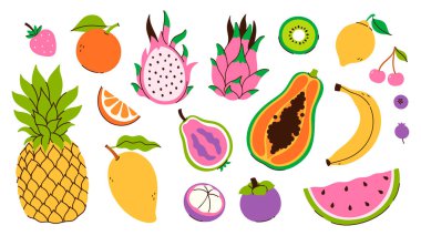 Sulu tropikal meyveler beyaz arka planda izole edilir. Vektör resmi