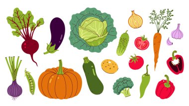 Farklı sebzeler beyaz arka planda izole edilir. Vektör resmi.