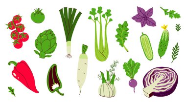 Farklı sebzeler beyaz arka planda izole edilir. Vektör resmi.