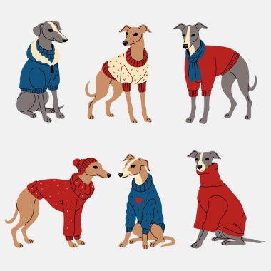 Giysiler içinde bir grup tazı köpeği. Vektör resmi.
