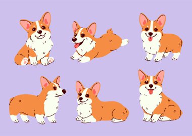 Farklı pozlarda şirin Corgi sosisleri. Vektör resmi