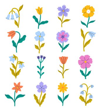 Farklı şekil ve renkte çiçekler beyaz arkaplanda izole edilir. Vektör resmi.