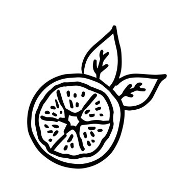 Lemon karalama çizimini vektörle kesti. El çizimi. Vektör illüstrasyonu