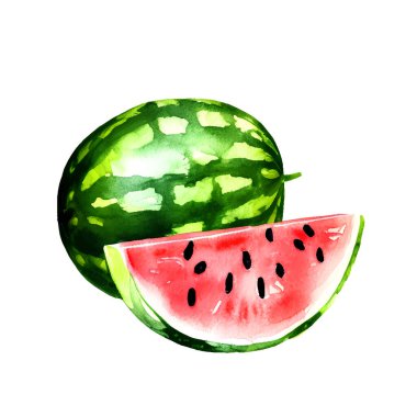 Watermelon, digital watercolor painting isolated on white background. Vector illustration