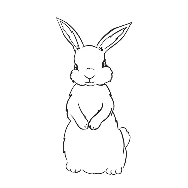 Cute Bunny Sketch Print Childrens Textiles Poster Design Nursery Rabbit — Stock Vector