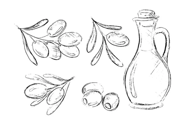 Набор Зеленых Оливковых Ветвей Листьев Бутылки Оливкового Масла Векторная Иллюстрация — стоковый вектор