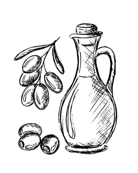 Пляшка Оливкової Олії Оливковою Гілкою Малюнок Олівцем Векторні Ілюстрації Векторні — стоковий вектор