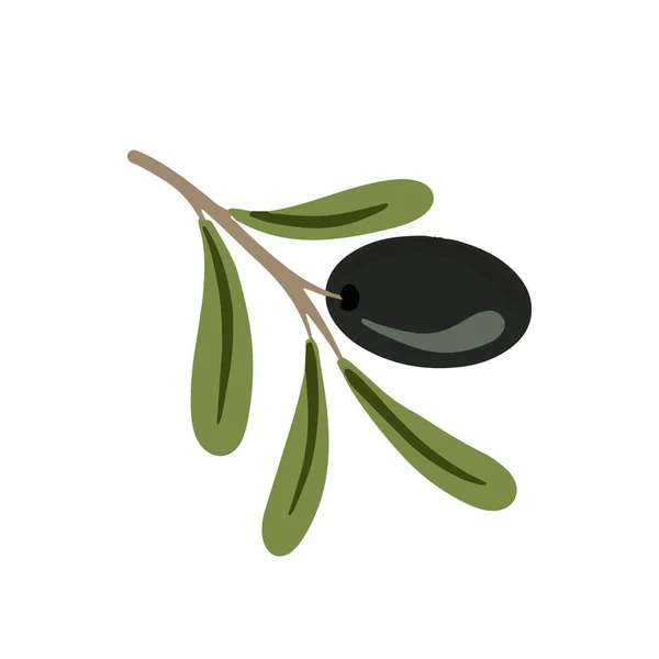 Kreslená Větev Černých Oliv Olivovník Listy Italská Kuchyně Chutné Předkrmy — Stockový vektor