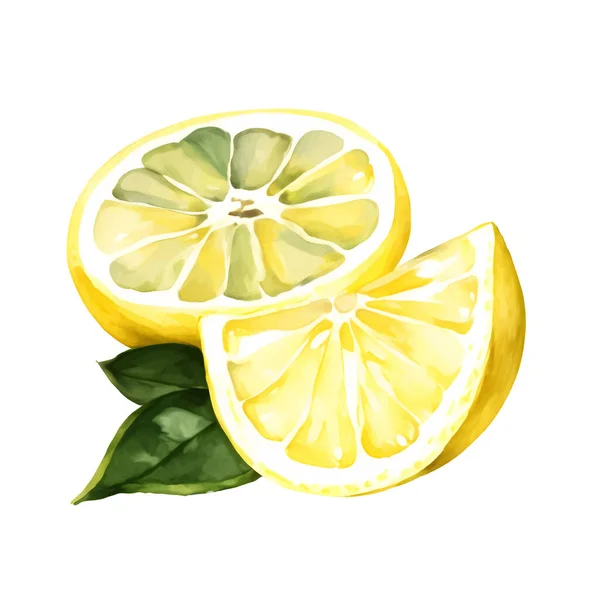 Digitales Aquarell Reife Saftige Zitrone Mit Grünem Blatt Realistische Tropische — Stockvektor