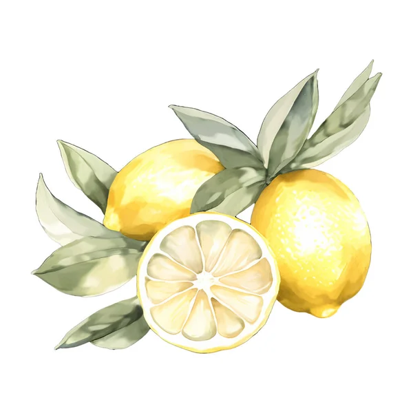 Digital Watercolor Ripe Juicy Lemon Green Leaf Realistic Tropical Fruit — Stock Vector