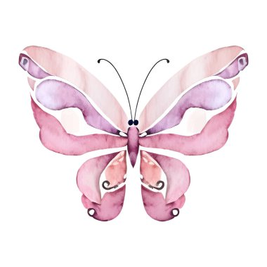 Suluboya pembe kelebek vektör çizimi beyaza izole edilmiş. Vektör illüstrasyonu
