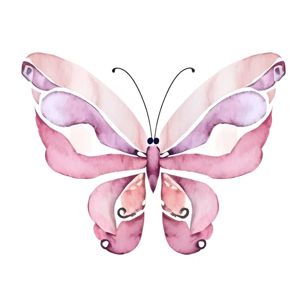 Aquarelle Rose Papillon Vecteur Illustration Isolée Sur Blanc Illustration Vectorielle — Image vectorielle
