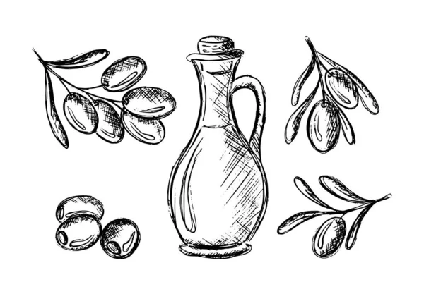 Sammlung Von Olivenskizzen Olivenzweige Auf Weißem Hintergrund Blätter Oliven Vektor — Stockvektor
