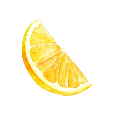 Elle çizilmiş suluboya boya bir dilim limon. Citrus meyvesi. Organik ve lezzetli yiyecekler. Sağlıklı beslenme. Ürün etiketi veya şeker paketleme için vektör tasarımı. Vektör illüstrasyonu