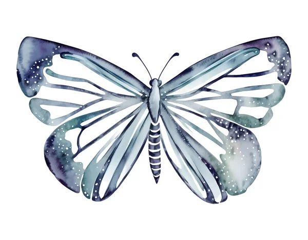 Gyönyörű Kék Akvarell Pillangó Fehér Háttér Szárnyak Néz Mint Nedves — Stock Vector