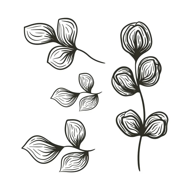 Conjunto Botânica Floral Doodle Arte Linha Wildflower Ilustração Vetorial — Vetor de Stock
