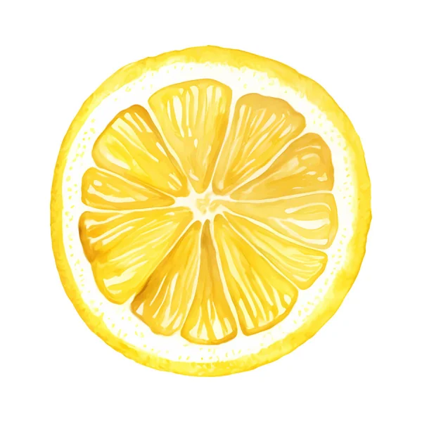 手描きの水彩画サークルレモンのスライス 柑橘類だ 有機的でおいしい食べ物 健康的な栄養 商品ラベルやお菓子の梱包用ベクトルデザイン ベクターイラスト — ストックベクタ