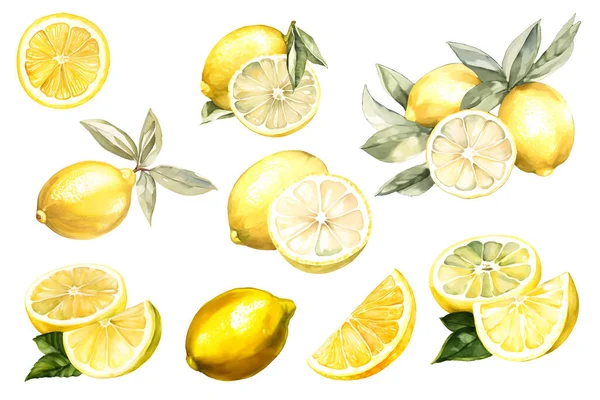 Set Acquerello Digitale Maturo Limone Succoso Con Foglia Verde Frutta — Vettoriale Stock