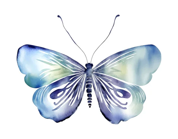 Kék Akvarell Pillangó Elszigetelt Fehér Háttér Vektor Vektorillusztráció — Stock Vector