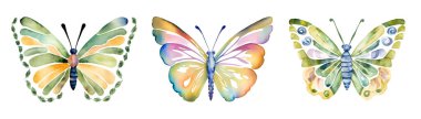 Beyaz arka planda izole edilmiş renkli kelebekler suluboya. Yeşil, sarı, mavi ve pembe kelebek. Bahar hayvanı vektör illüstrasyonu. Vektör illüstrasyonu