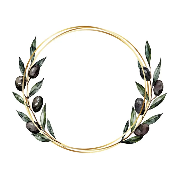 橄榄枝的圆形花环 橄榄叶和黑色橄榄在一个圆形的金框里 矢量图解 矢量说明 — 图库矢量图片