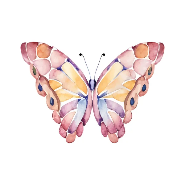 Aquarelle Papillon Rose Orange Isolée Sur Fond Blanc Illustration Vectorielle — Image vectorielle