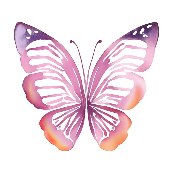 Różowy Akwarela Ręka Rysunek Motyl Odizolowane Białe Tło Ilustracja Wektora — Wektor stockowy